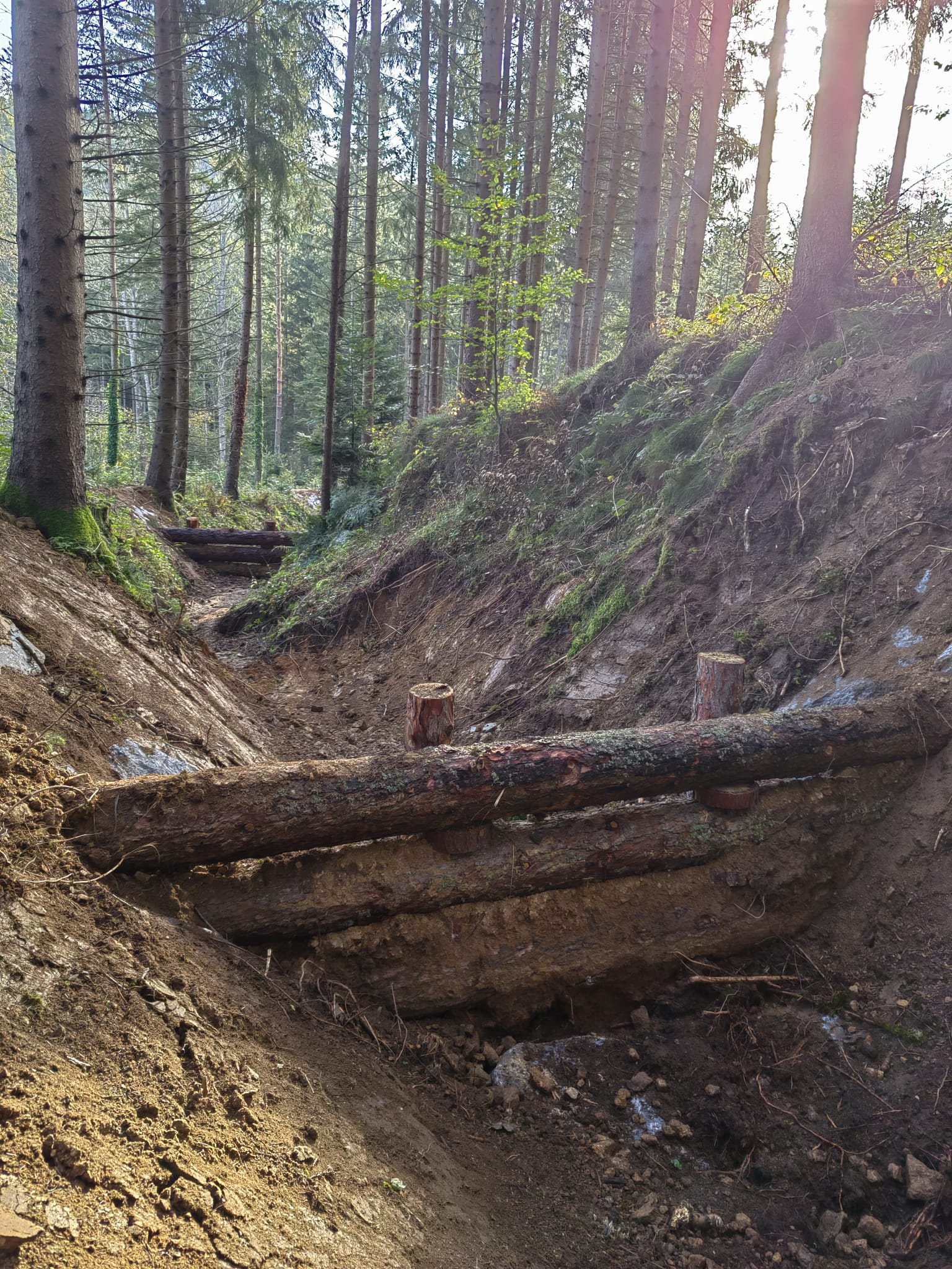 "Bau von Kleinrückhaltebecken": Abgebildet ist ein so genanntes "Kleinrückhaltebecken" im Wald. Beim Bau des Beckens kamen Holzstämme zum Einsatz.