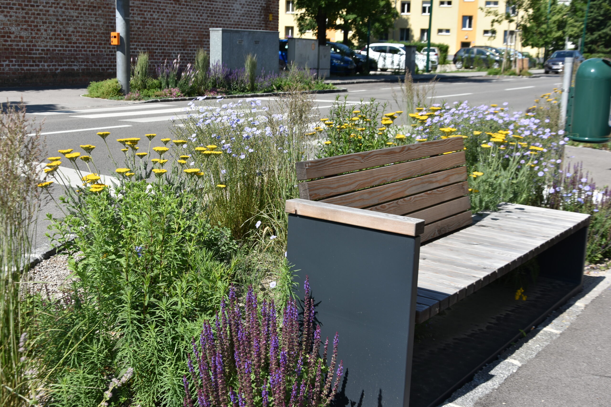 „Nachhaltige biodiversitätsfördernde Flächen“: Zu sehen ist eine Sitzbank aus Holz und dahinter verschiedene Wildpflanzen, sogenanntes „Straßenbegleitgrün“. Dahinter ist eine Straße mit einem Schutzweg zu sehen.