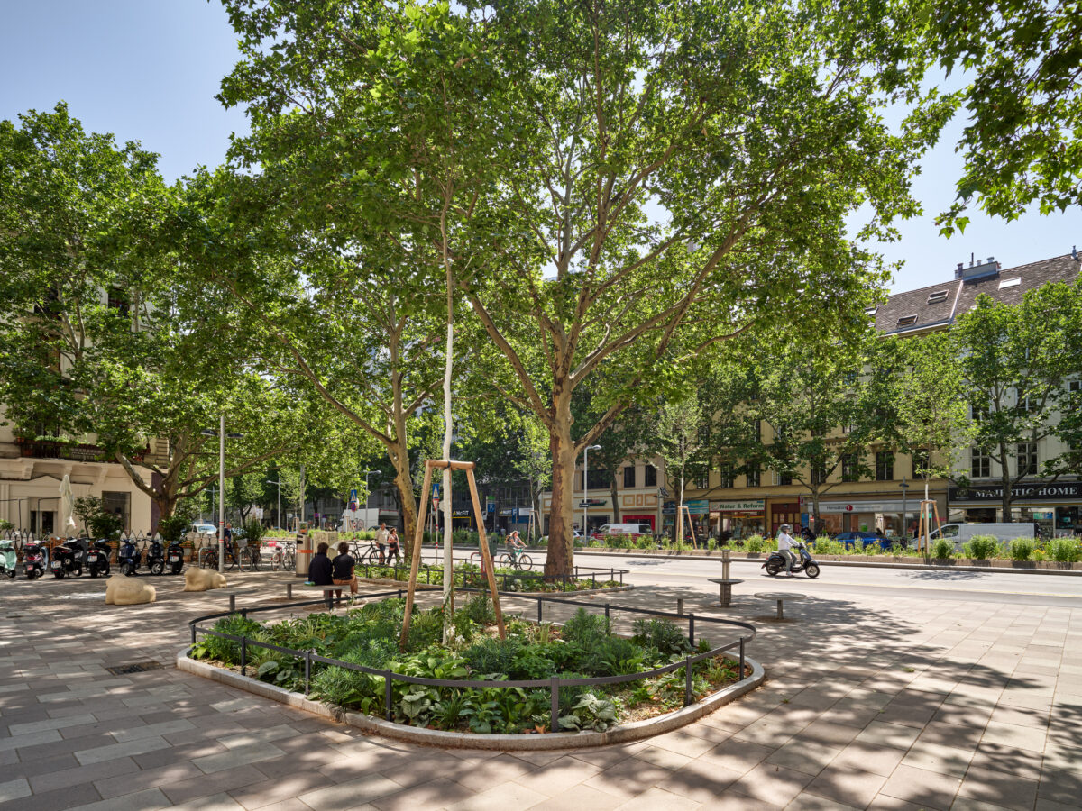 Städtischer Platz mit großen Bäumen, bepflanzten Beeten, Sitzgelegenheiten und Menschen im Hintergrund.