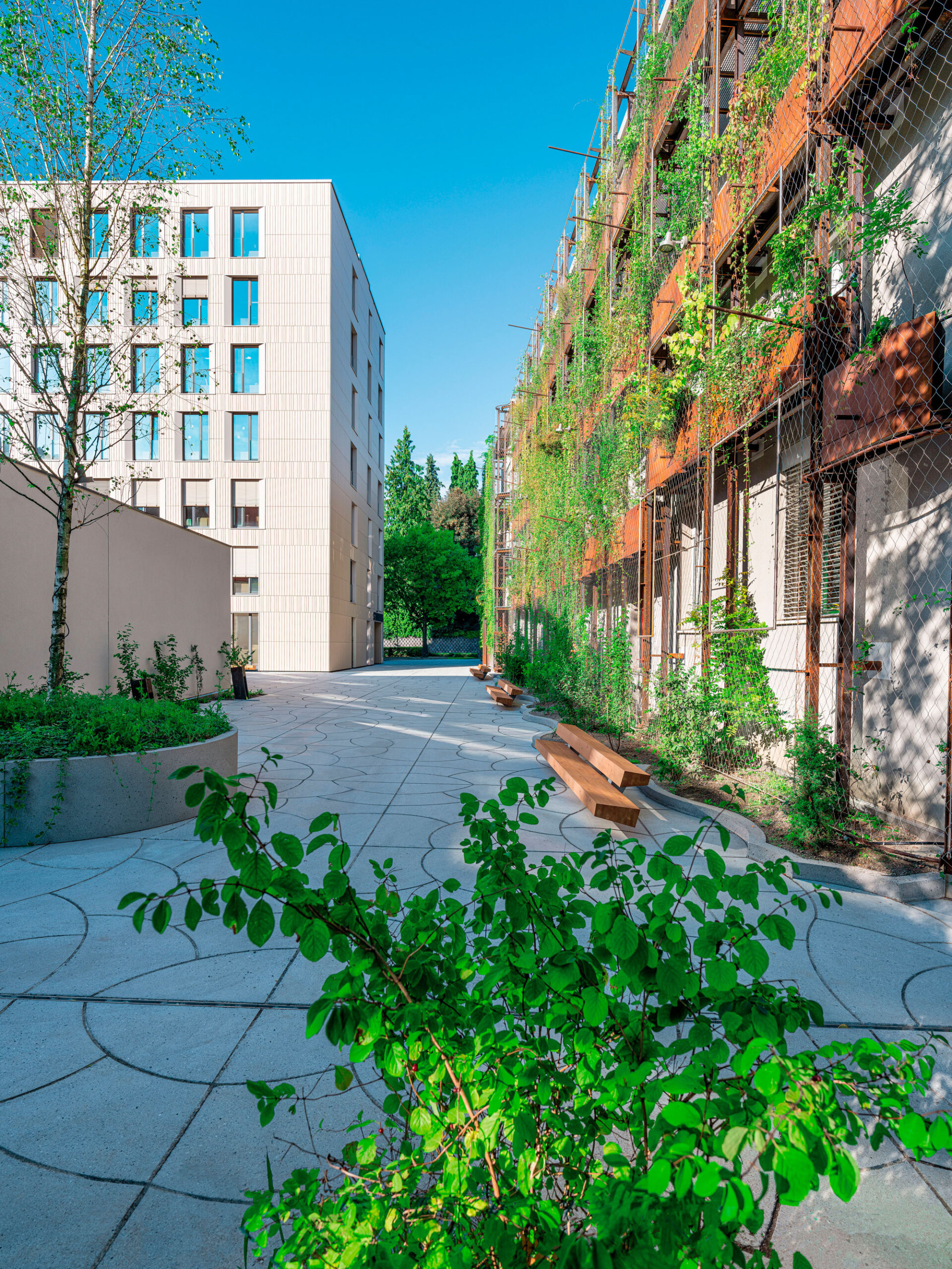 Innenhof mit moderner Architektur links und begrüntem Gebäude rechts sowie Sitzbänken auf gepflastertem Boden.